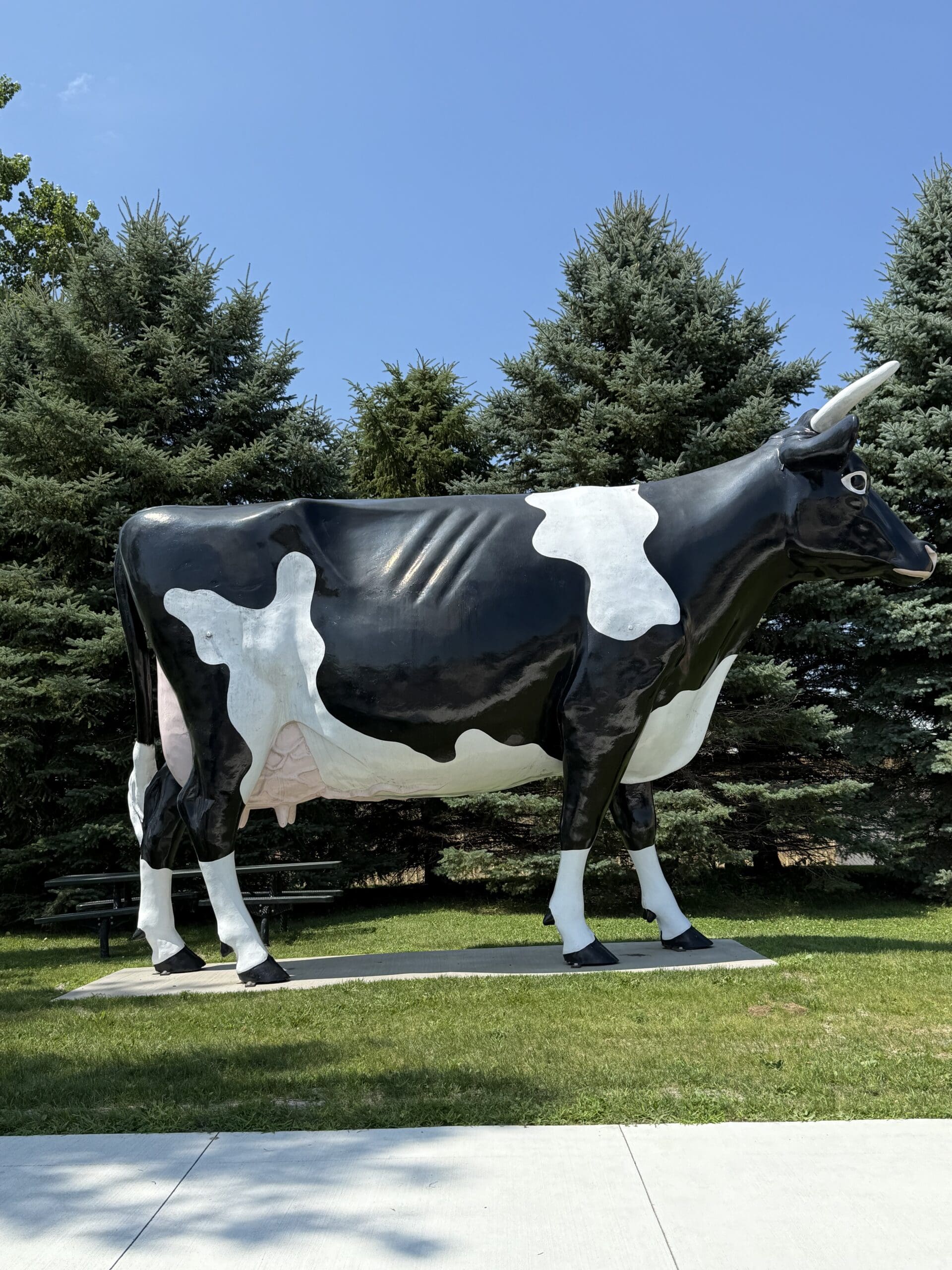 Adventure Unlimited: Carver County carver county