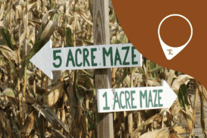 twin cities corn mazes