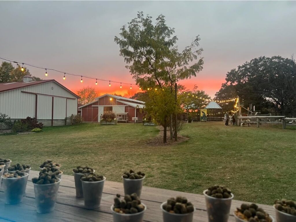 apple orchards