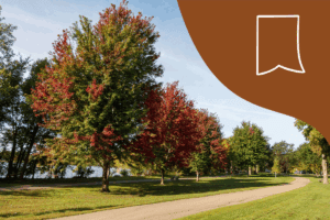 City of Lakes Art Fair