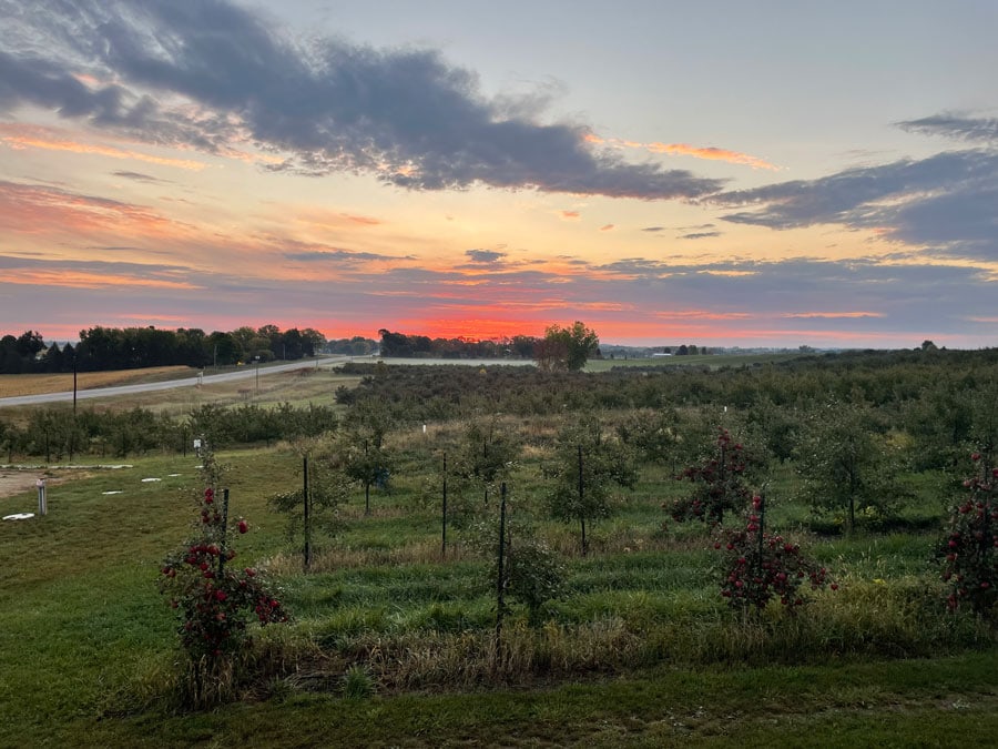 apple orchards