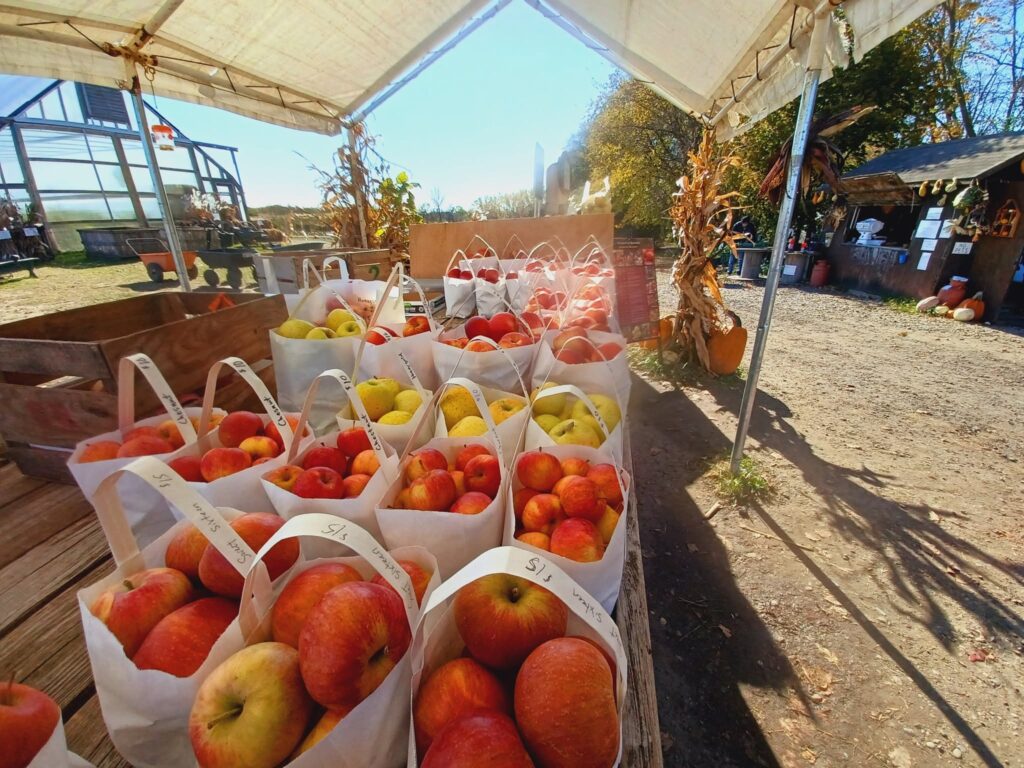 apple orchards