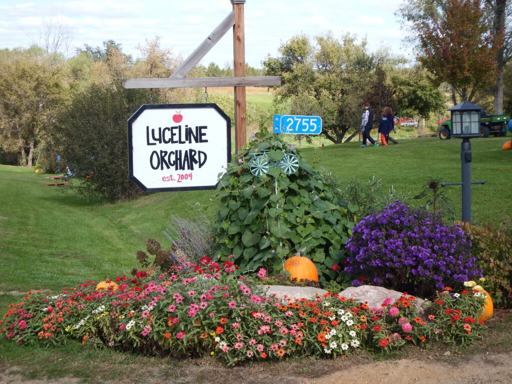 apple orchards