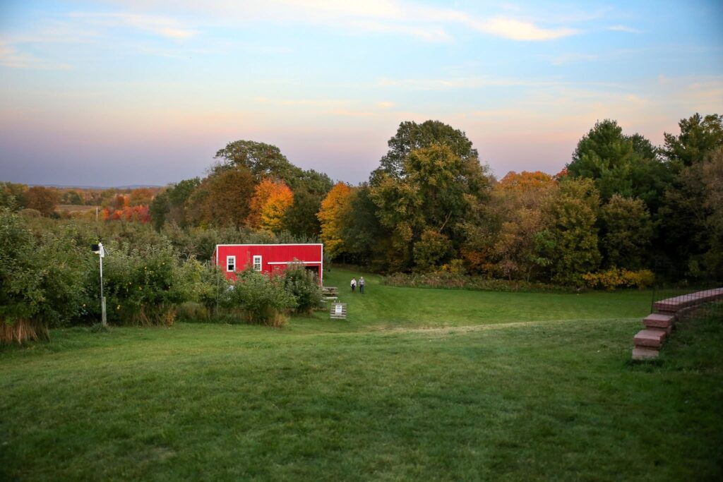 apple orchards