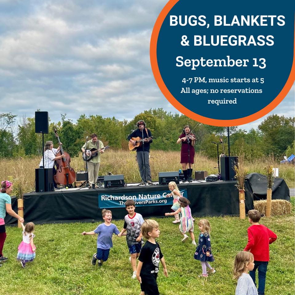 bugs