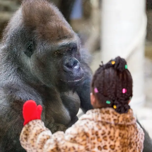 Sensory Friendly Mornings | Como Zoo and Conservatory