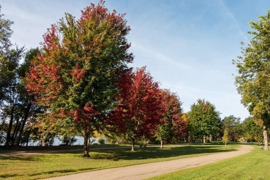 City of Lakes Art Fair