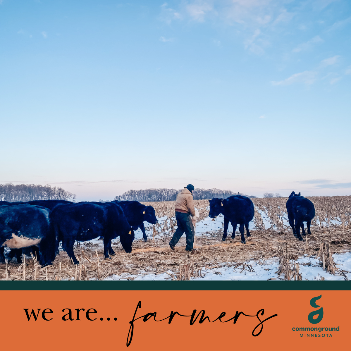 winter farmers markets