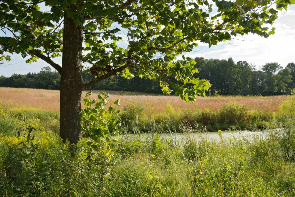 Chanhassen
