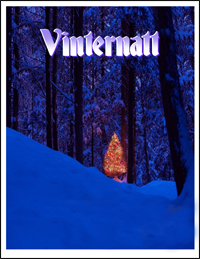 Vinter-Box