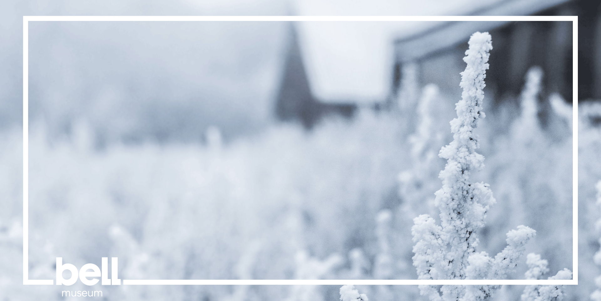 Heart and Solstice | Bell Museum