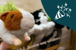 Minnesota Children's Museum Holiday Promo