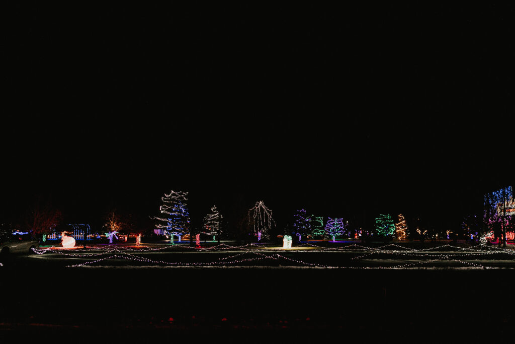 Sever's Holiday Lights