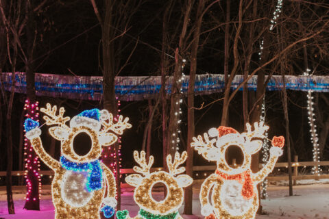 Photo by Heather Joy Photography for Twin Cities Family