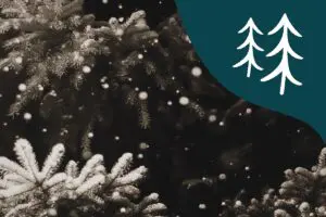 Twin Cities Holiday Events Guide