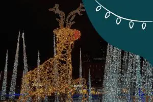 Twin Cities Holiday Lights