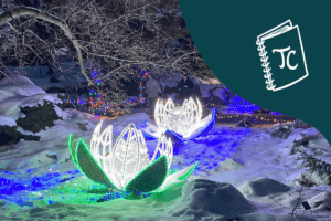 Winter Lights at the Arboretum