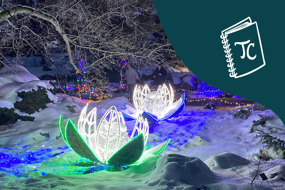 Winter Lights at the Minnesota Landscape Arboretum