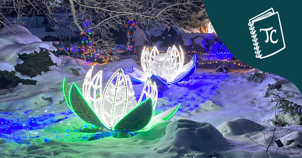 Winter Lights at the Minnesota Landscape Arboretum