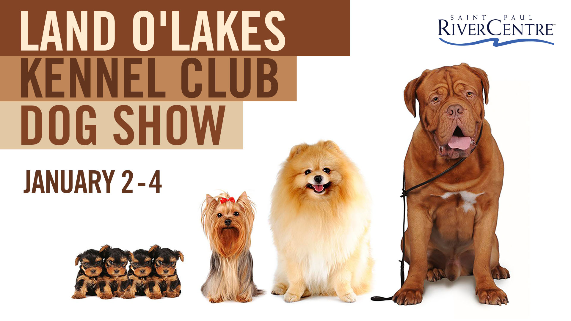Land O’Lakes Kennel Club Dog Show | Saint Paul River Centre