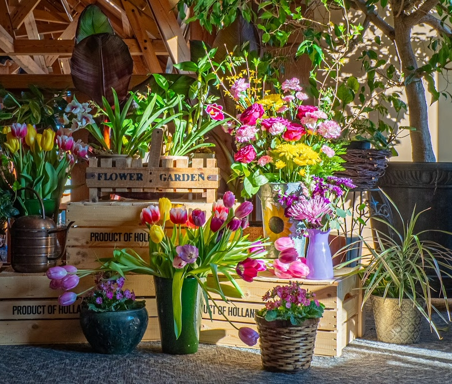 Spring Flower Show | Landscape Arboretum