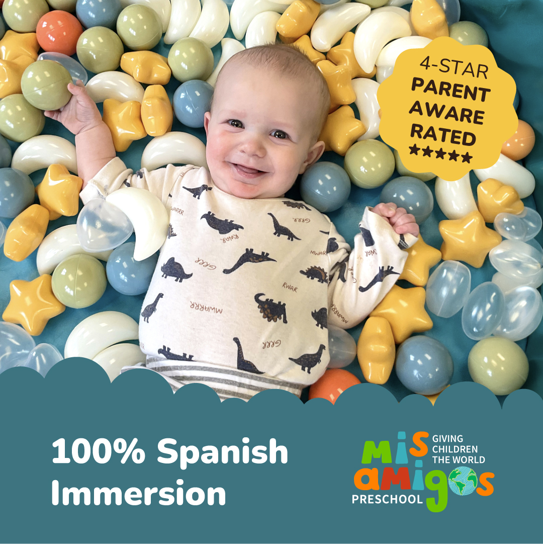 Twin Cities Guide to Language Immersion Schools language immersion schools