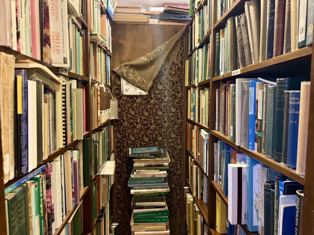 bookstores