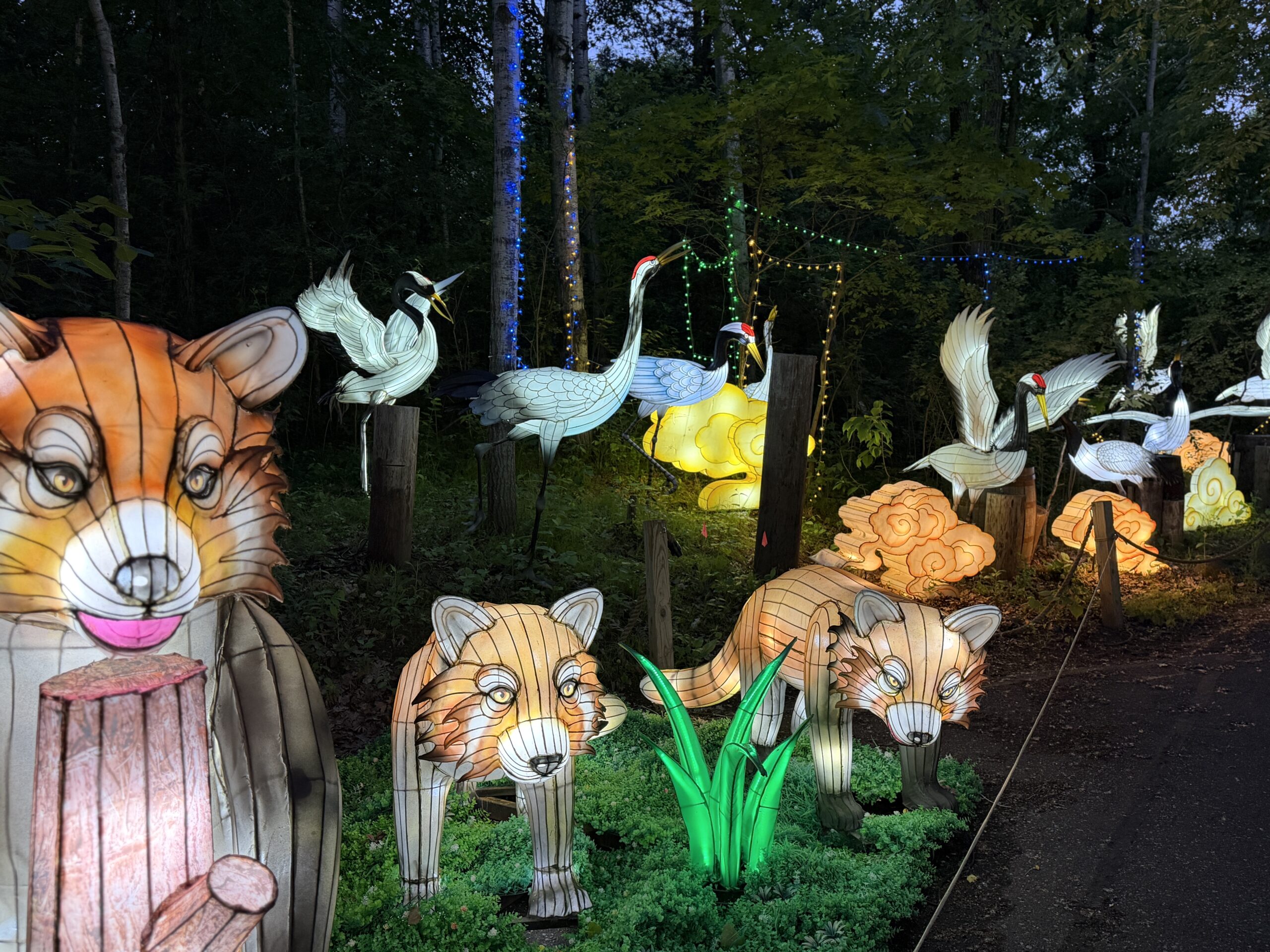 Wanderlight Trail | Minnesota Zoo
