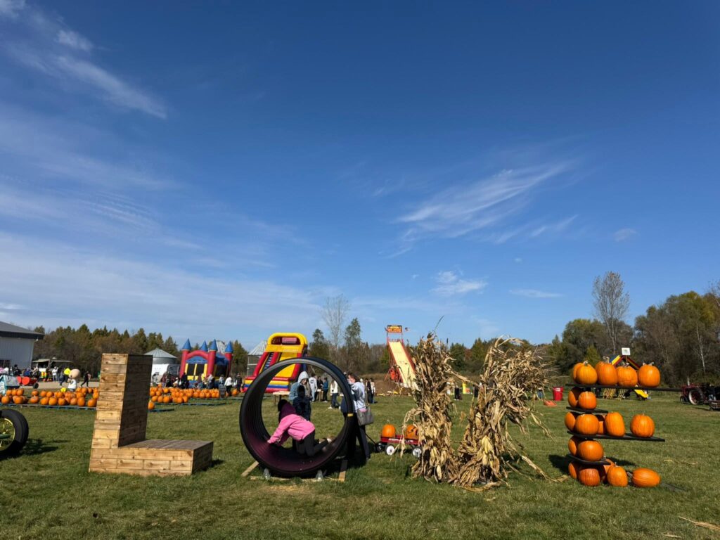 pumpkin patches