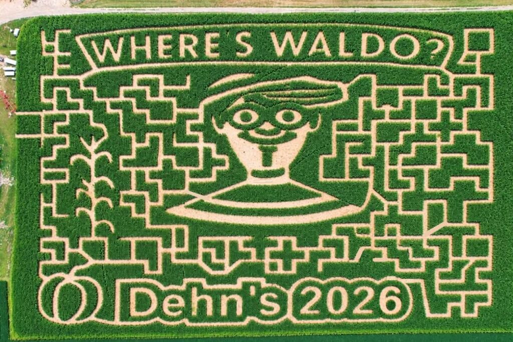 corn mazes