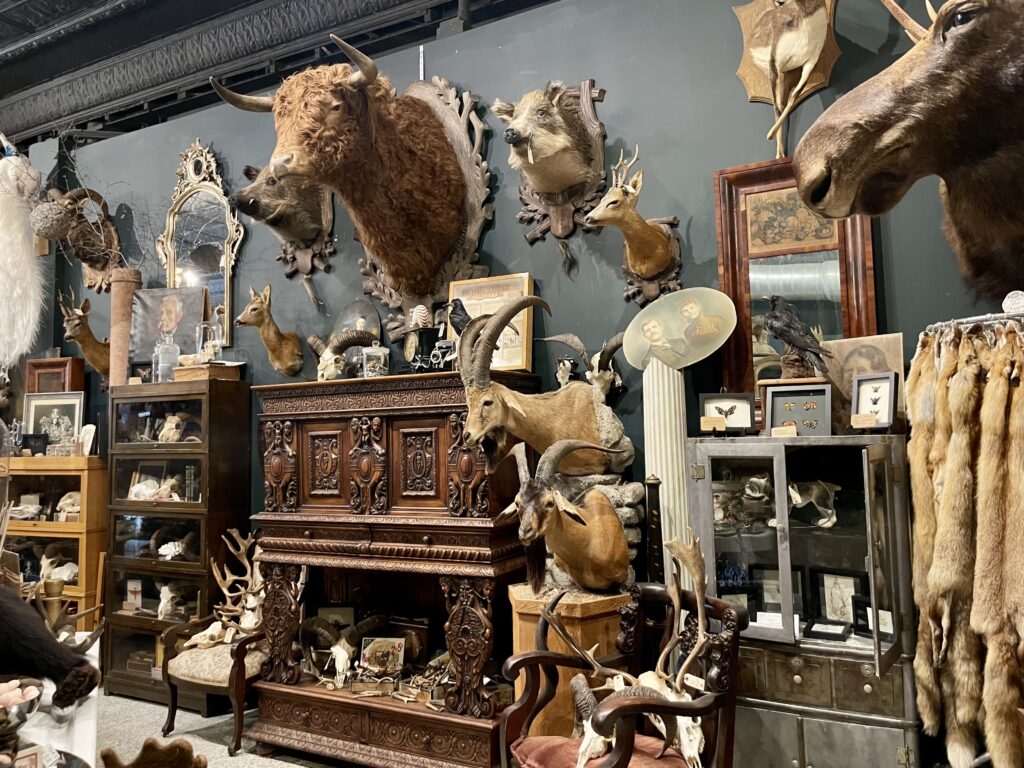 quirky places in the twin cities