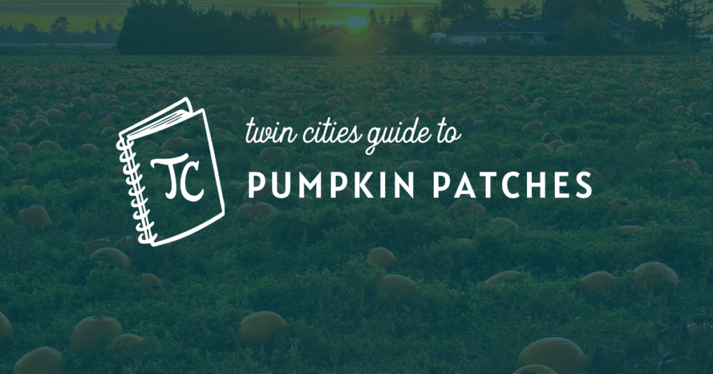 twin cities pumpkin patches