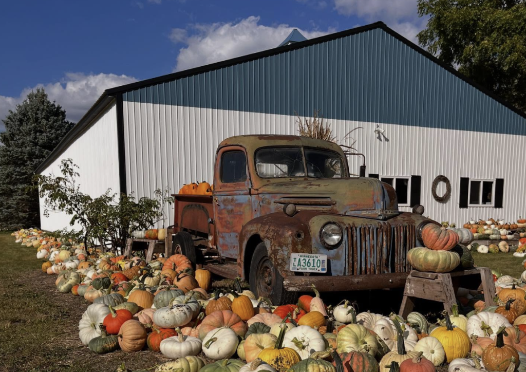 pumpkin patches