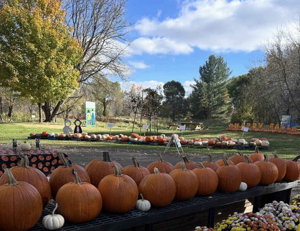 pumpkin patches