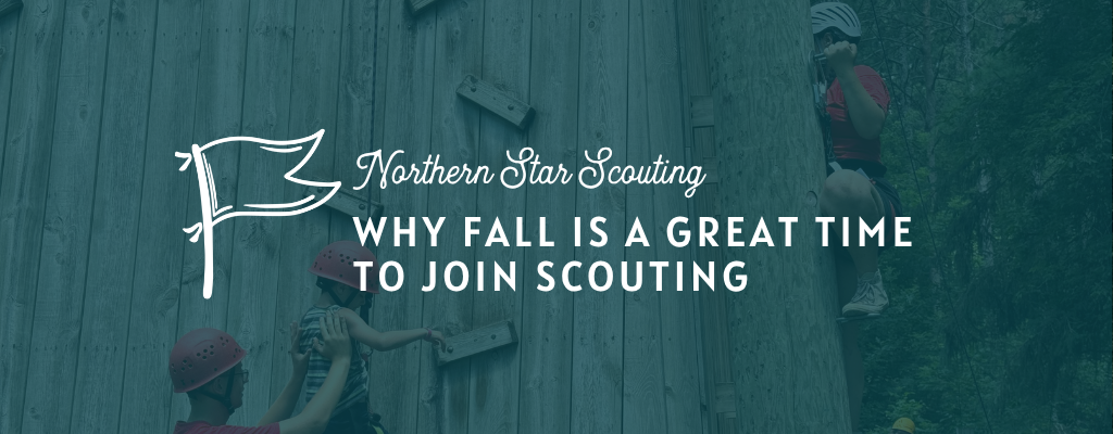 fall scouting