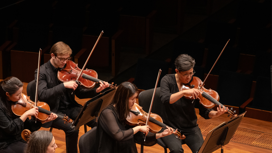 2526 Viola Section