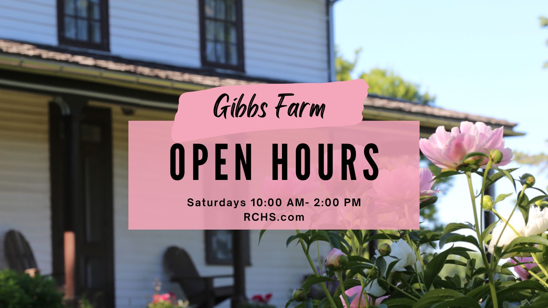 Saturday Public Hours | Gibbs Farm